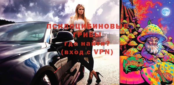 дмт Абаза