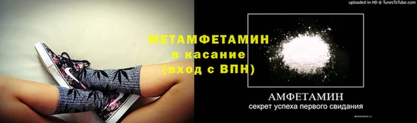 сатива Кострома
