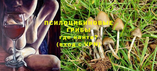 дмт Абаза